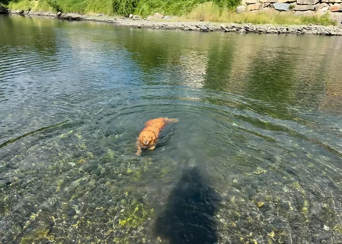 Casa Arguis * Eriste